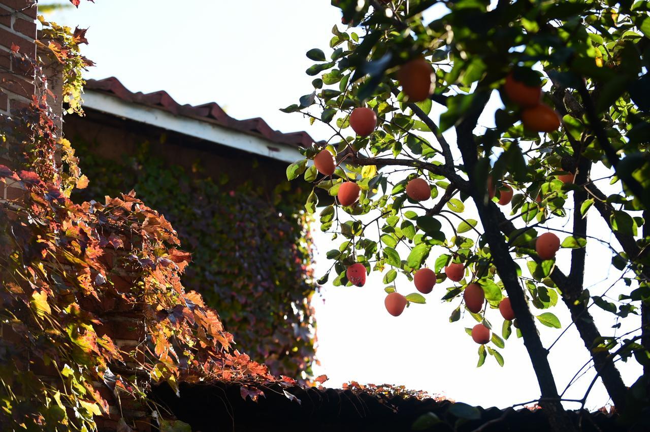 Photo Park Guesthouse Seoul Bagian luar foto